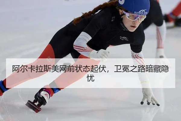 a-er-ka-la-si-mei-wang-qian-zhuang-tai-qi-fu-wei-mian-zhi-lu-an-cang-yin-you-2-523.jpg