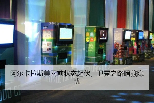 a-er-ka-la-si-mei-wang-qian-zhuang-tai-qi-fu-wei-mian-zhi-lu-an-cang-yin-you-3-646.jpg