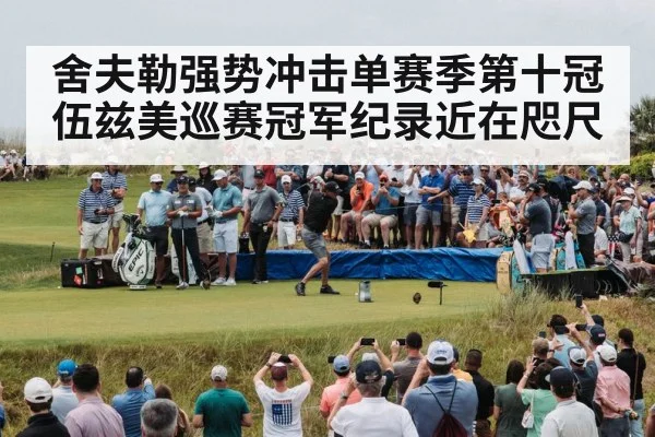 舍夫勒强势冲击单赛季第十冠 伍兹美巡赛冠军纪录近在咫尺